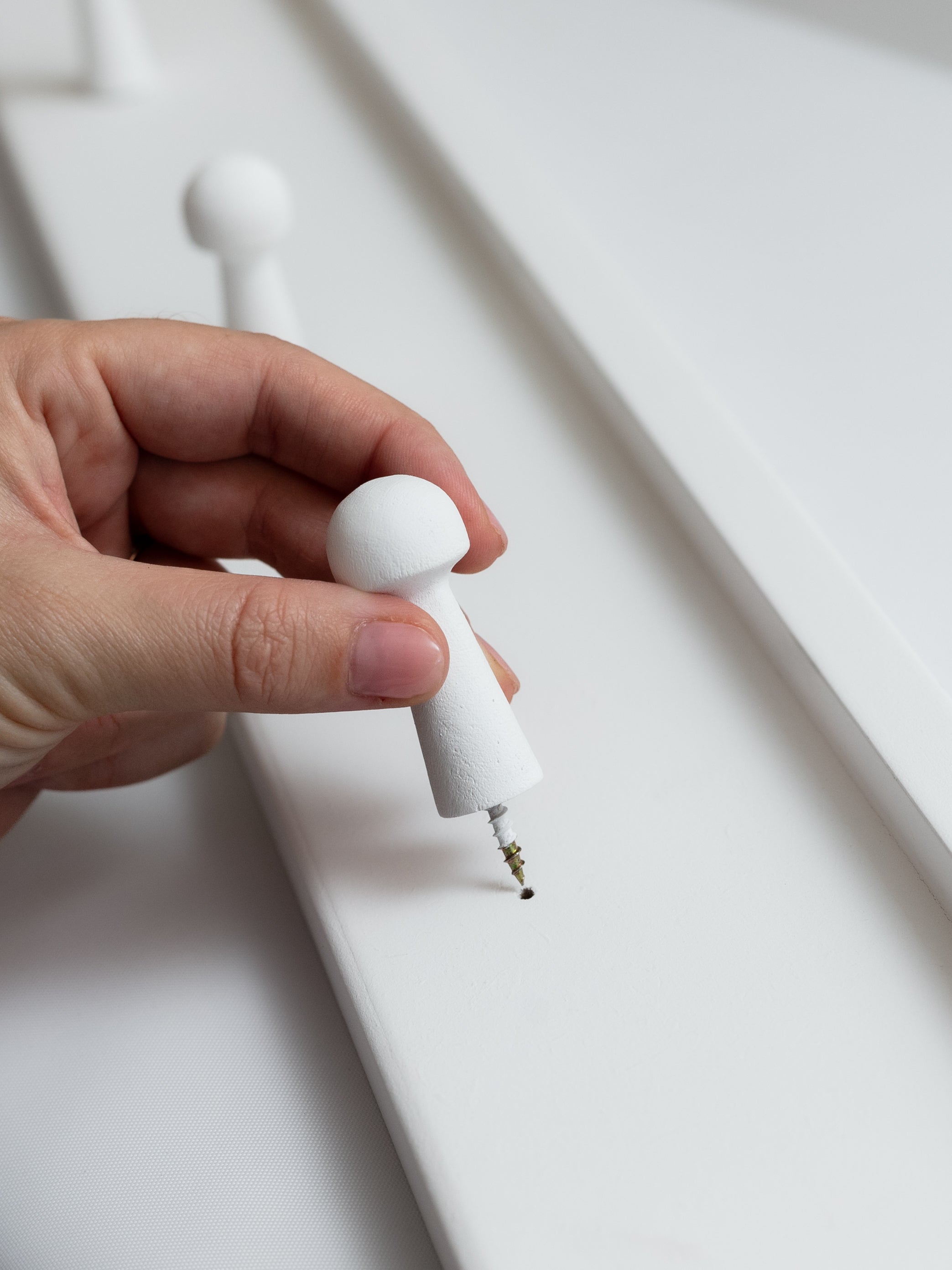 Shaker Peg Rail (10 Pegs)