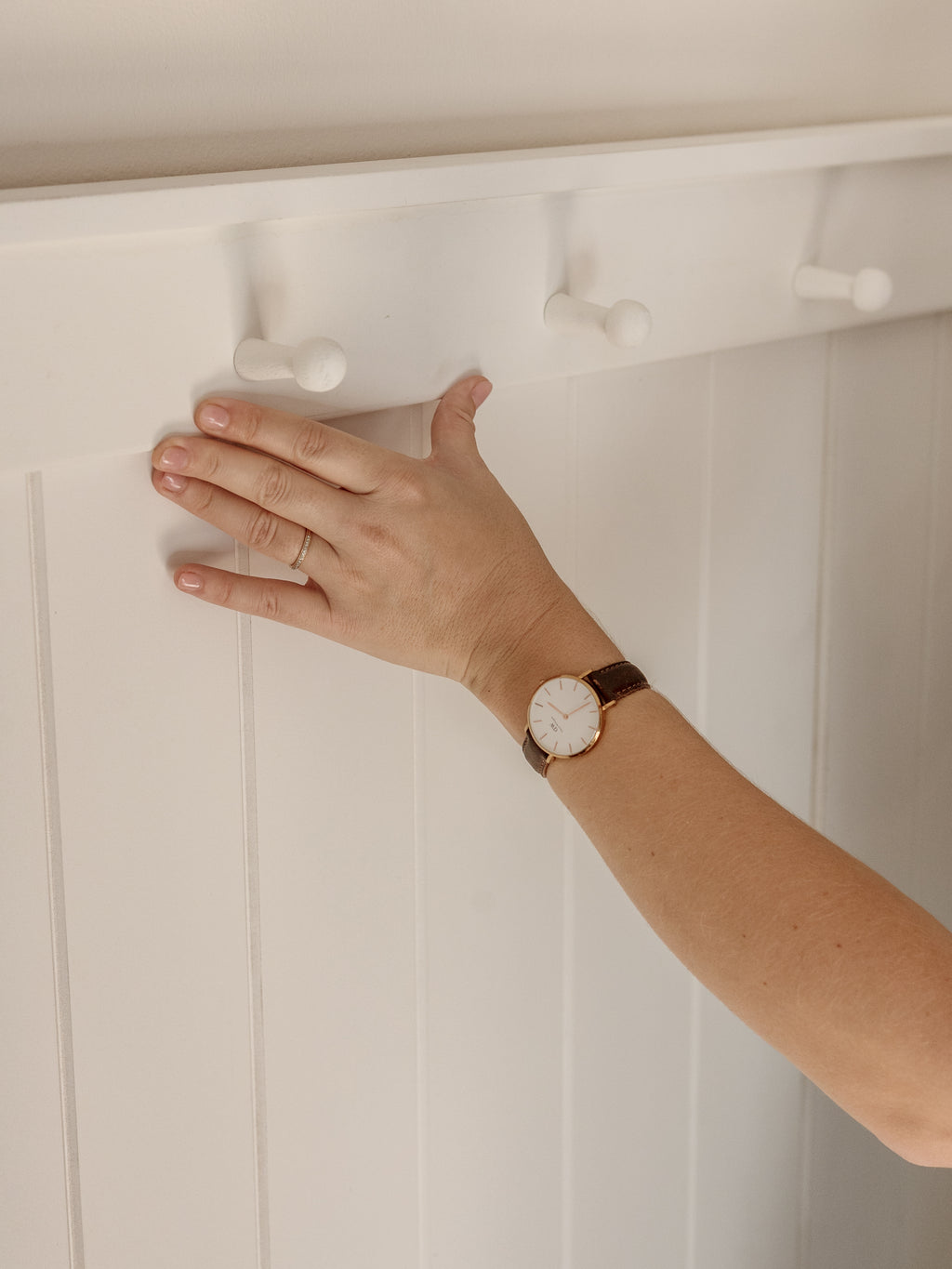 Shaker Peg Rail (5 Pegs)